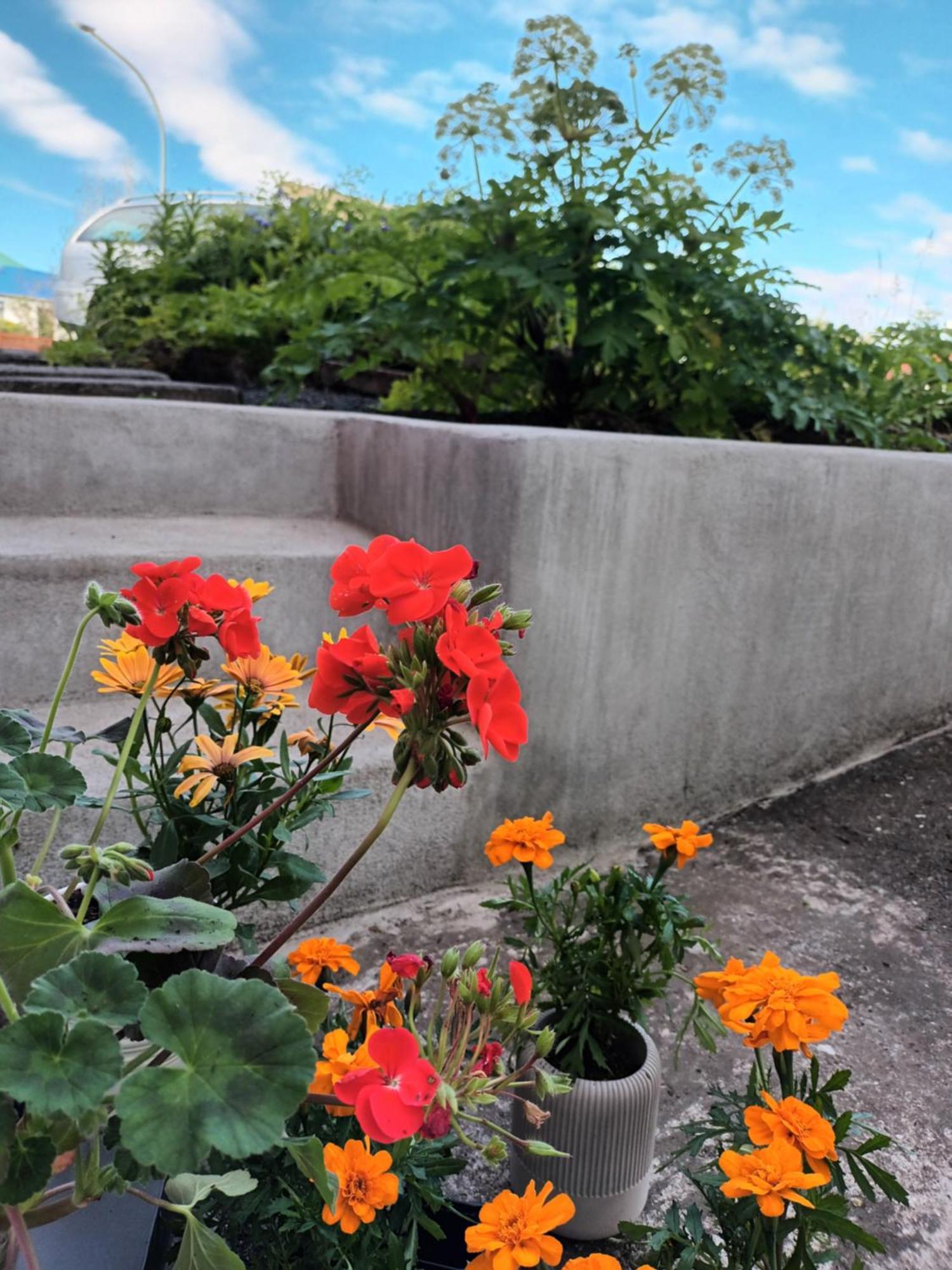 Lara Studio In Laugardalur Valley, Reykjavik Central Park And Botanical Garden, Private Entrance, Free Private Parking On Side エクステリア 写真